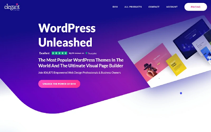 Giới thiệu Divi Theme